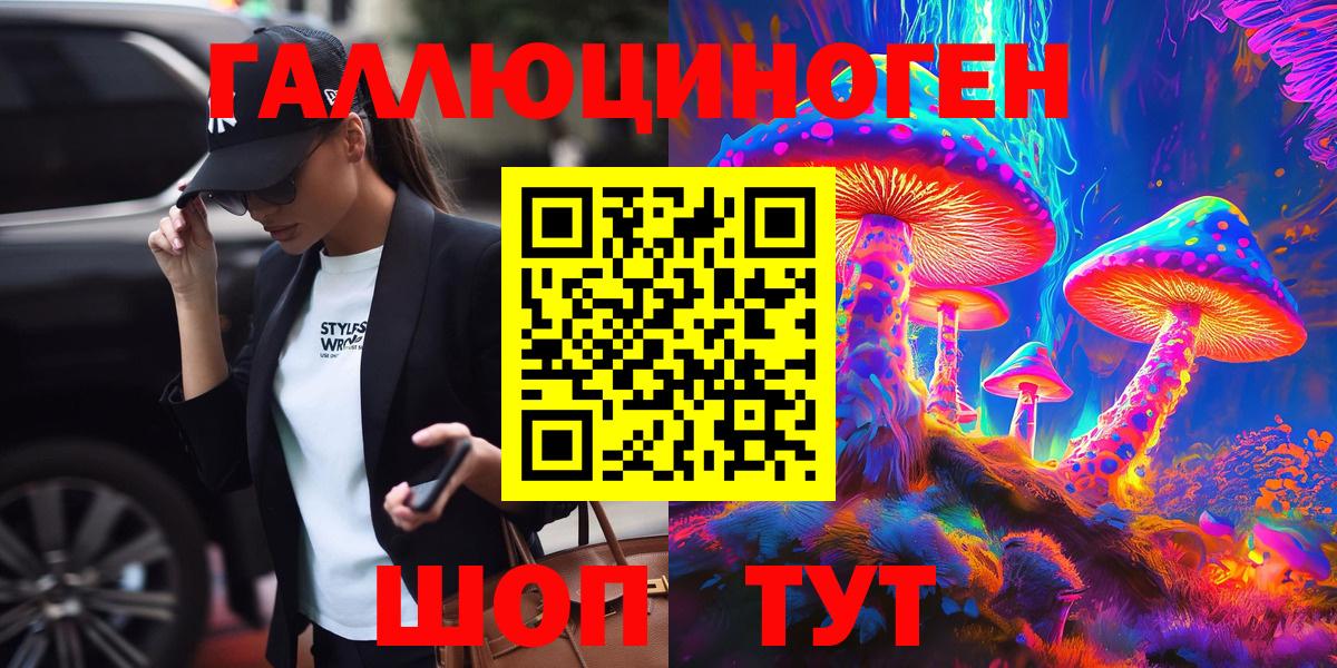 Псилоцибиновые грибы Psilocybe Каменск-Шахтинский