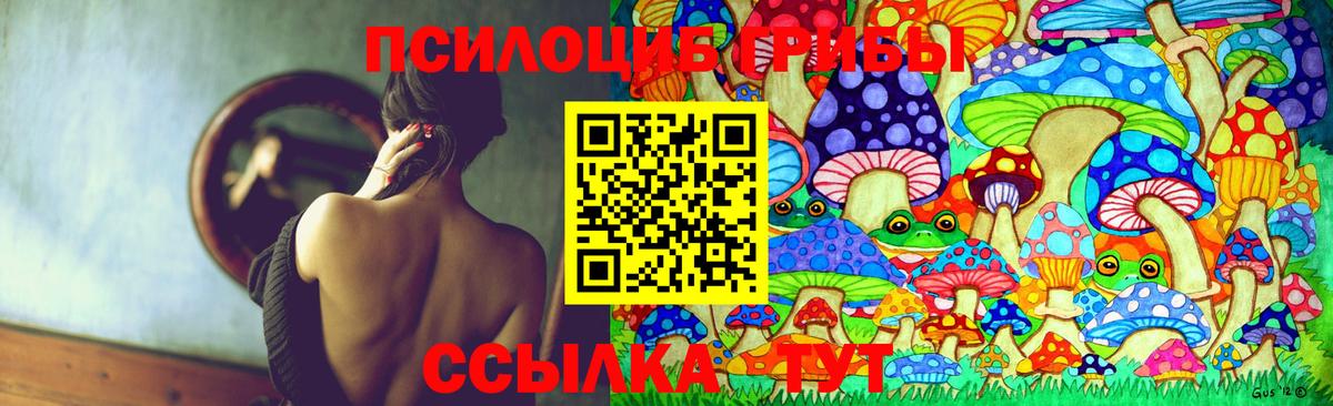 Галлюциногенные грибы Psilocybine cubensis  Псилоцибиновые грибы мухоморы  где продают наркотики  Каменск-Шахтинский  Вход с VPN 